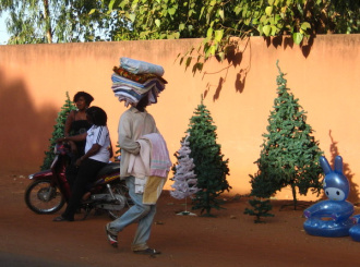 01 Sapins De Noel En Vente A Ouaga